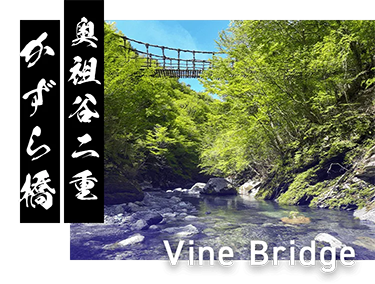 奥祖谷二重 かずら橋